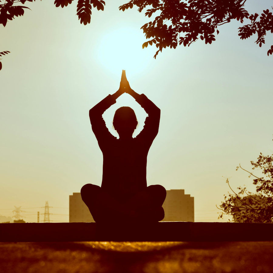 Fale com a Yoga FlexFly